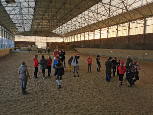 Photo n°12 de Haras des Érables à Vieille-Église-en-Yvelines (Centre équestre)