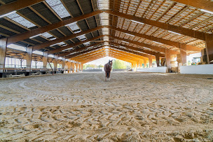Photo n°4 de ECOECURIE à Broué (Terrain d'équitation)