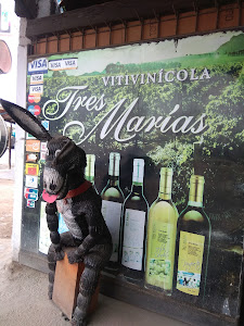 Vinos Y Piscos Tres Marias 4