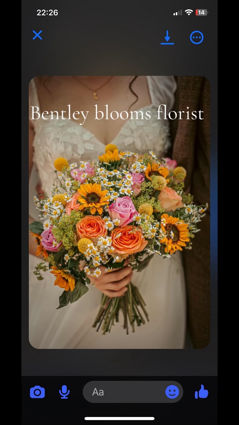 Bentley Blooms photo 2