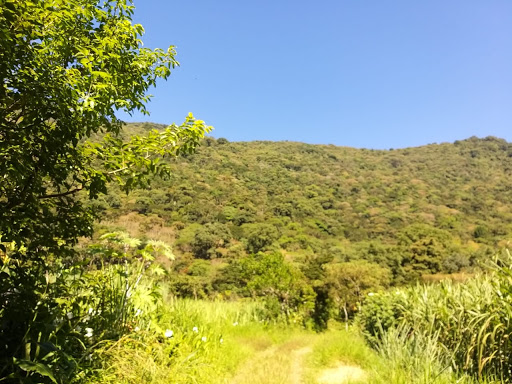 Tu Viaje en un Click Gallery - Mexico