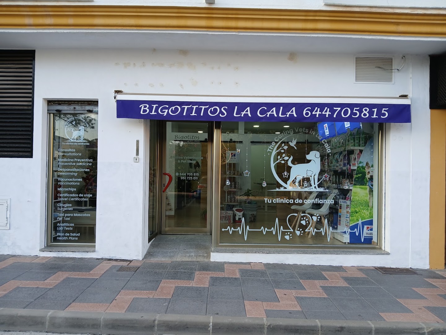 Bigotitos La Cala Clinica Veterinaria