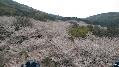 Photos of Taihu Yuantouzhu Scenic Area （Southeast Gate 1）