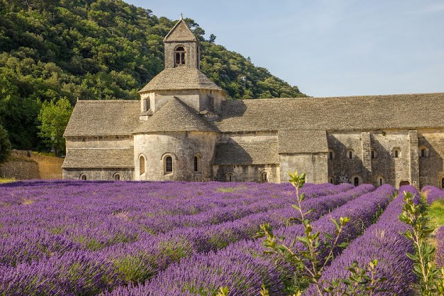 Abbaye Notre-Dame de Sénanque