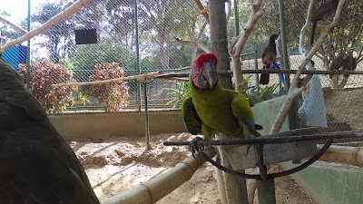 Photos of Cafam Melgar