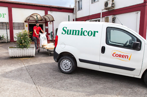 Sumicor - Visual