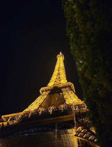 Paris Night Club Gallery - United States