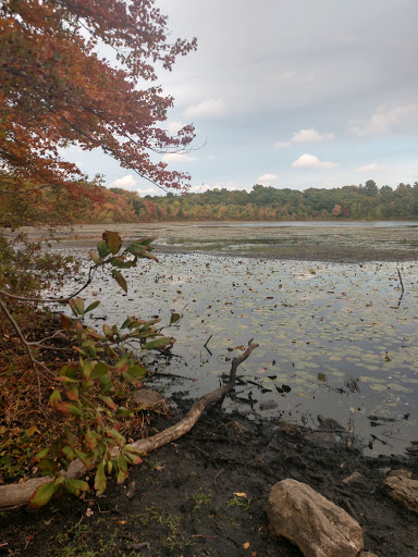 Hammond Pond Trail - Parking - Thumbnail