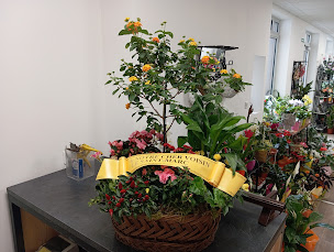 Photo n°1 de Capucine à Jussey (Fleuriste)