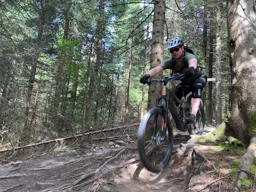 Statera Schwarzwaldtrail - Thumbnail