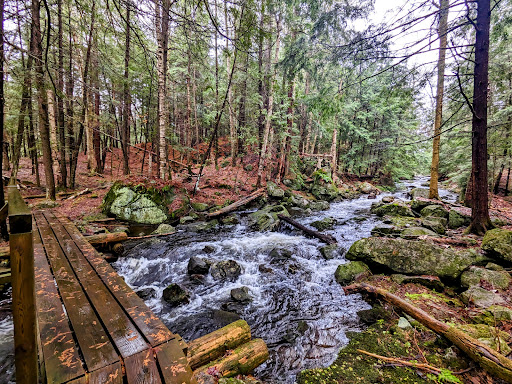 Pharaoh Lake Wilderness Area - Thumbnail