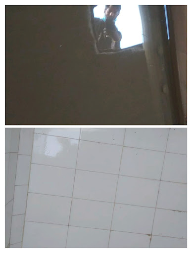 Gallery image 66