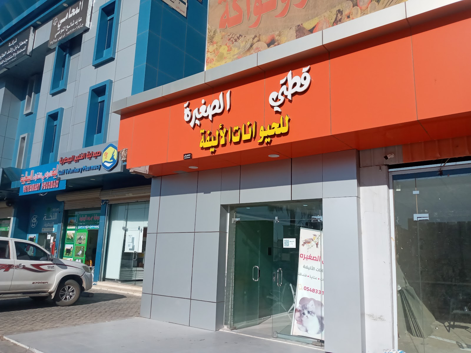 القط الخاص للحيوانات الاليفة. يوجد خدمة توصيل - صورة 3