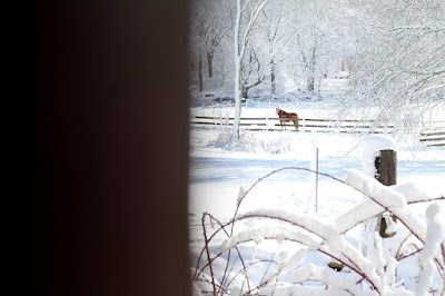 Gaits of Harmony Therapeutic Riding