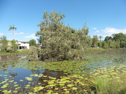 Mapleton Lilyponds - Thumbnail
