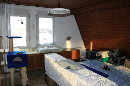 Ingeborg Saes Katzenpension-sofatiger Ottostraße 11, 42655 Solingen, Deutschland