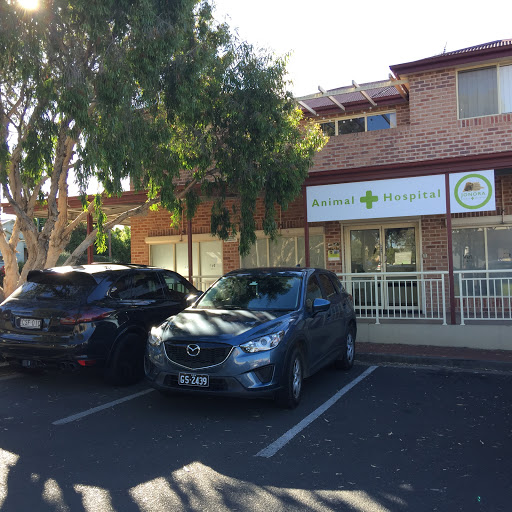 Jonora Animal Hospital (MOVED TO KURRAJONG ANIMAL HOSPITAL) - Thumbnail