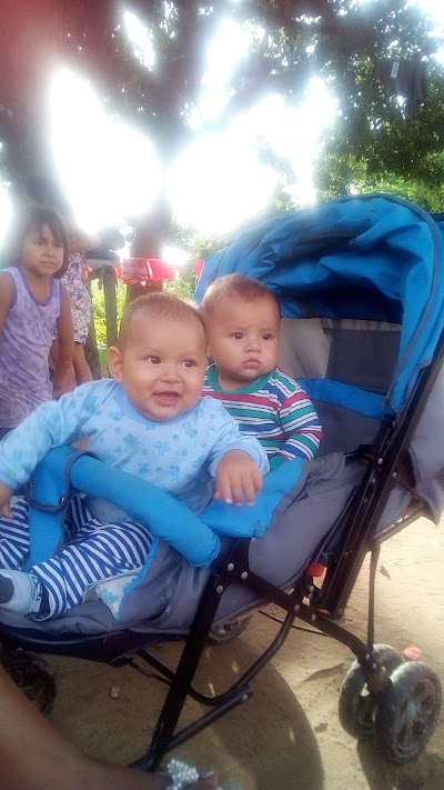 Photos of Micasa Garden