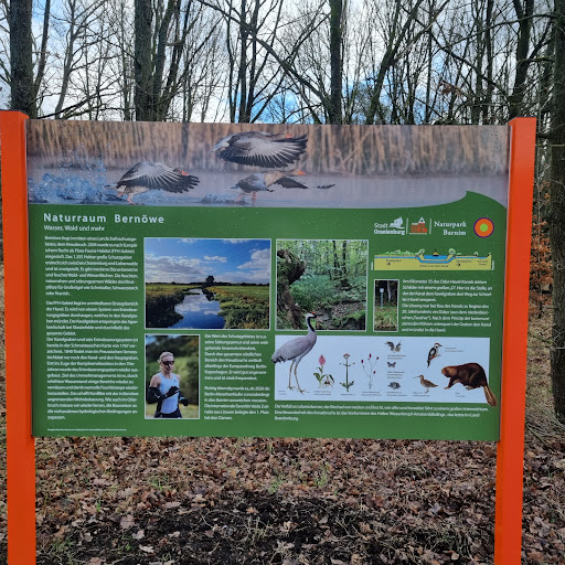 Informationen - Visual