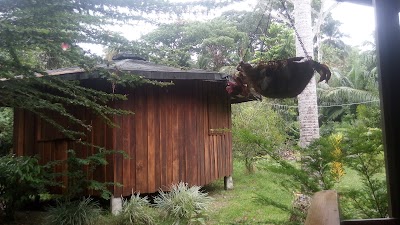 Photos of Bungalows Ach&eacute;