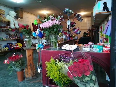 Photos of Floristeria & Eventos Castro
