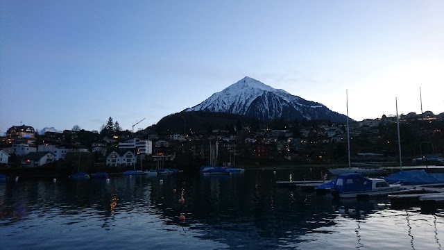 Niesen