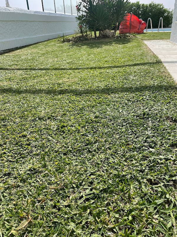 Caracal Jardines - Foto