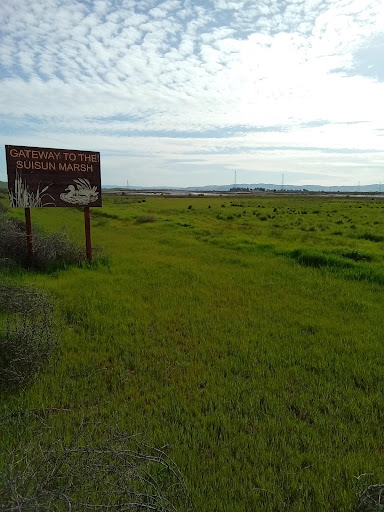 Hill Sough Wildlife Area - Thumbnail