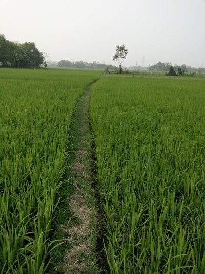 Photos of Khudra Brahmanbaria