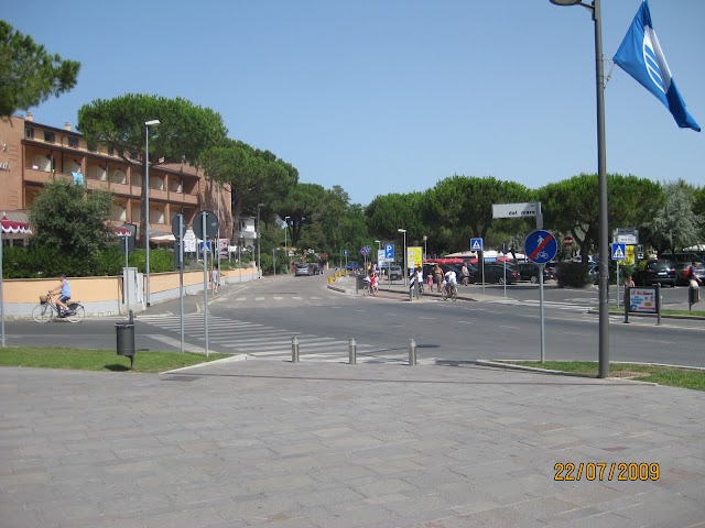 Cecina