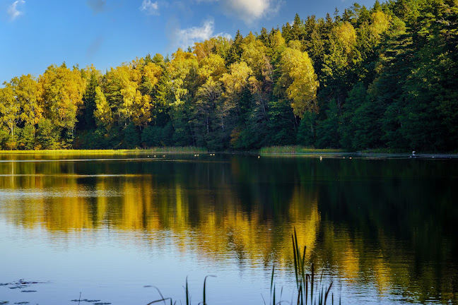 Plaża nad jeziorem Czarnym. - Suwałki