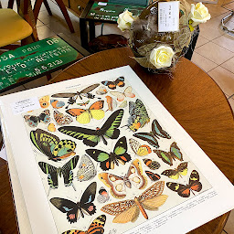 Photo n°5 de Titi International à Stiring-Wendel (Dépôt-vente)