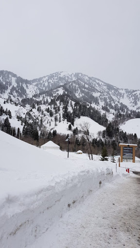Snowbasin - Visual