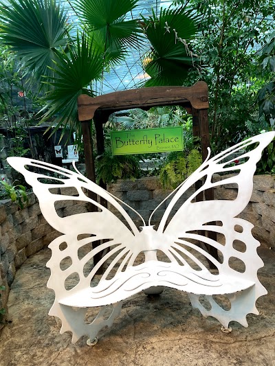 The Butterfly Palace & Rainforest Adventure