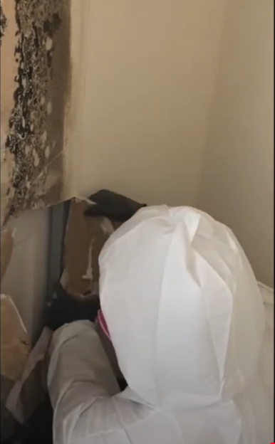 Urgent Mold Removal Denver photo