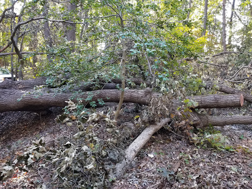 Ware Bottom Church Battlefield Park - Thumbnail