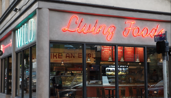 Wild Living Foods