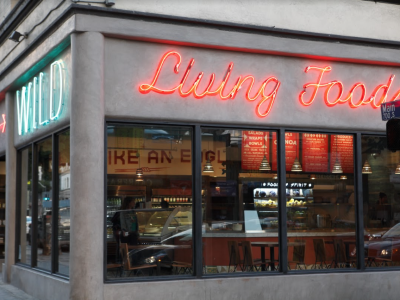 Wild Living Foods — photo