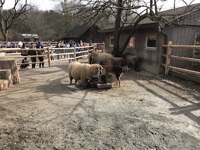 Photos of Bergen County Zoo