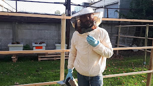 Photo n°7 de Maison Erine, Potager & Rucher école enfants et adolescents à Willems (Association bénévole)