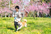 こげらファーム