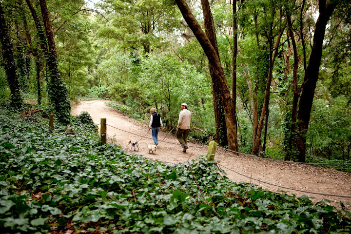 Inn at the Presidio by null