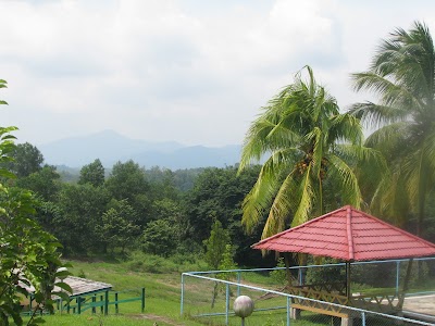 Photos of PT Bukit Asam