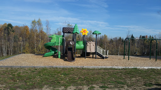 Parc Delorme - Visual