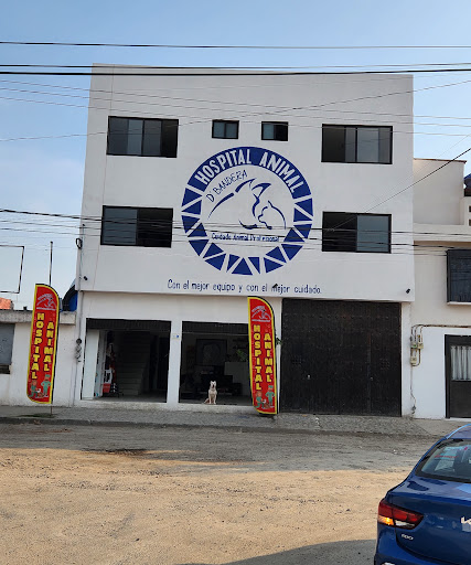 HOSPITAL ANIMAL D'BANDERA -Cuidado Animal Profesional-