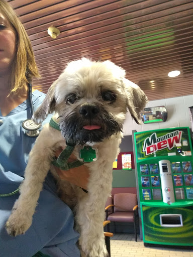 UW Veterinary Care