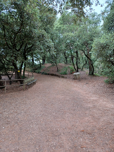 Parc des Floralies