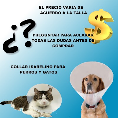 Photos of cadiz veterinary center