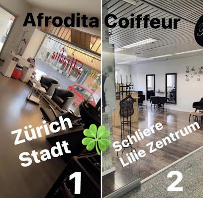 Coiffeur Salon Afrodita