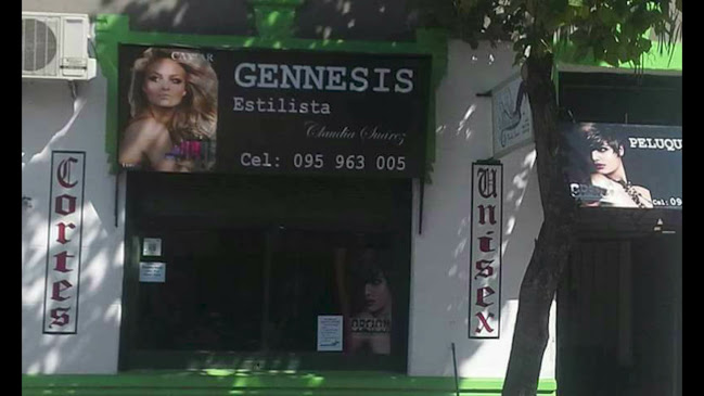 Gennesis Estilista, peluqueria unisex